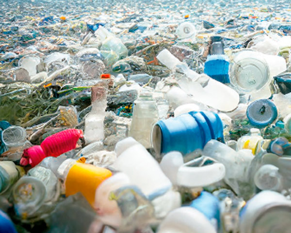 Microplastics: a threat to animal and environmental health