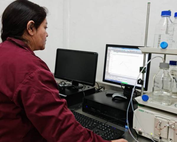 IPN prueba efectividad de planta medicinal contra cáncer de mama