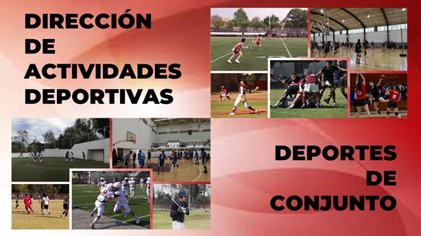 Conoce nuestras disciplinas de conjunto