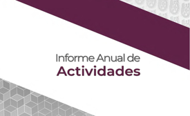 Informe Anual de Actividades
