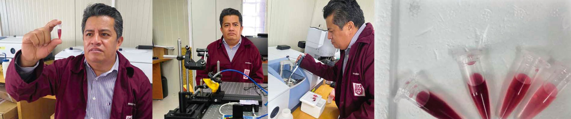 IPN develops a colloidal biosensor to diagnose early-stage acute kidney damage