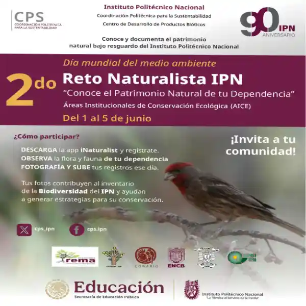2do Reto Naturalista