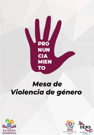 Mesa de Violencia de Género