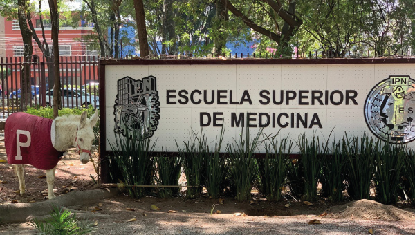 Secretaría de Investigación y Posgrado - IPN