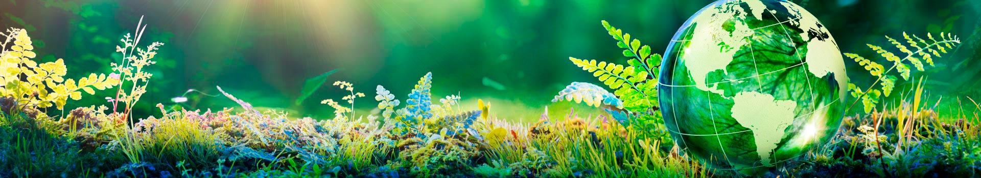 imagen-Ingeniería Ambiental imagen-Ingeniería Ambiental